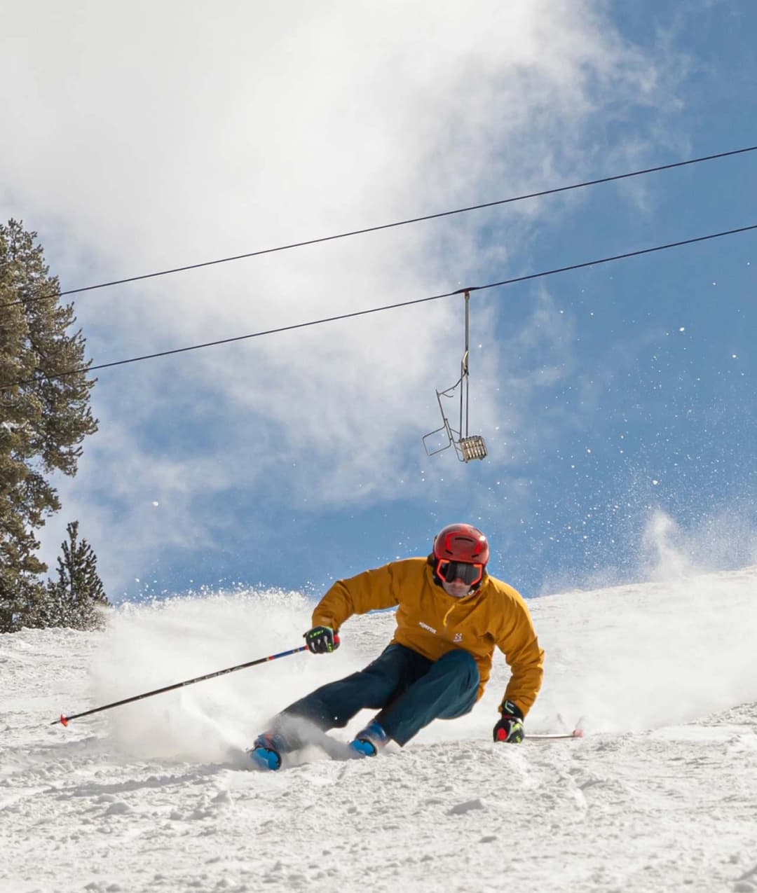 Classes Particulars - hores altes matí